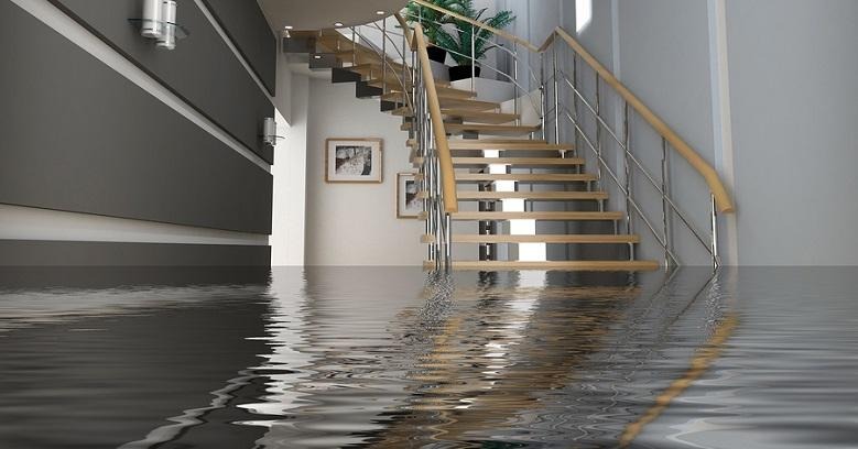 Flood Damage Cleanup Service for Basements, Walls, and Furniture